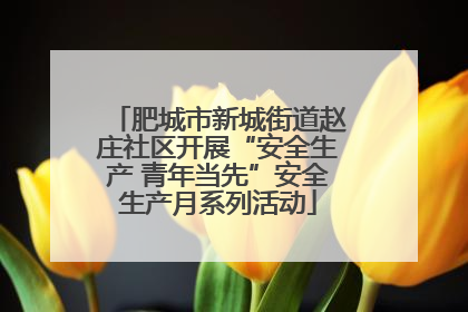 肥城市新城街道赵庄社区开展“安全生产 青年当先”安全生产月系列活动
