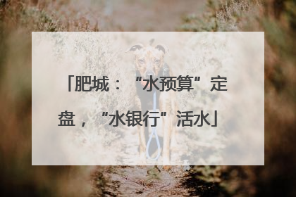 肥城：“水预算”定盘，“水银行”活水