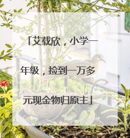 艾载欣，小学一年级，捡到一万多元现金物归原主