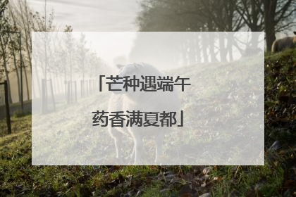 芒种遇端午 药香满夏都