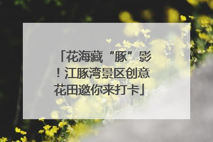 花海藏“豚”影！江豚湾景区创意花田邀你来打卡