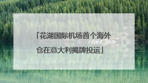 花湖国际机场首个海外仓在意大利揭牌投运