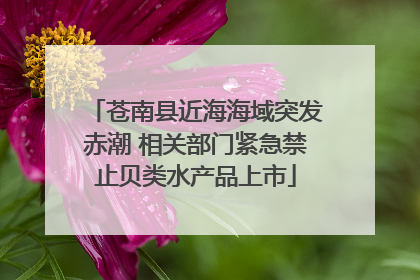 苍南县近海海域突发赤潮 相关部门紧急禁止贝类水产品上市