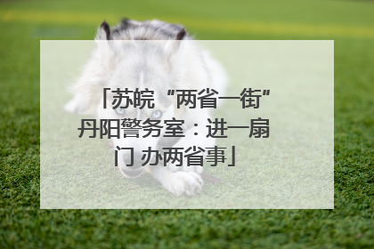 苏皖“两省一街”丹阳警务室：进一扇门 办两省事