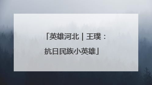英雄河北｜王璞：抗日民族小英雄