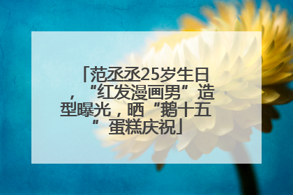 范丞丞25岁生日，“红发漫画男”造型曝光，晒“鹅十五”蛋糕庆祝