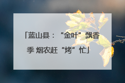 蓝山县：“金叶”飘香季 烟农赶“烤”忙