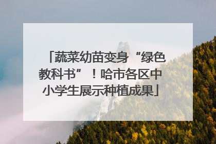 蔬菜幼苗变身“绿色教科书”！哈市各区中小学生展示种植成果