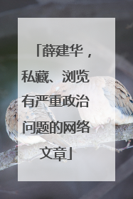 薛建华，私藏、浏览有严重政治问题的网络文章