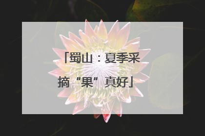 蜀山：夏季采摘“果”真好