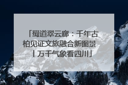 蜀道翠云廊：千年古柏见证文旅融合新图景丨万千气象看四川