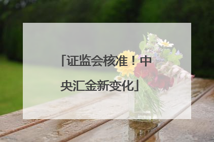 证监会核准！中央汇金新变化
