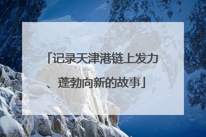 记录天津港链上发力、蓬勃向新的故事