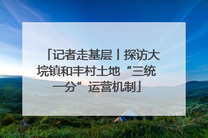 记者走基层丨探访大垸镇和丰村土地“三统一分”运营机制