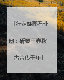 行走赣鄱看非遗：斫琴三春秋 古音传千年