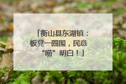 衡山县东湖镇：板凳一圈围，民意“唠”明白！