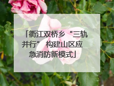 衢江双桥乡“三轨并行” 构建山区应急消防新模式