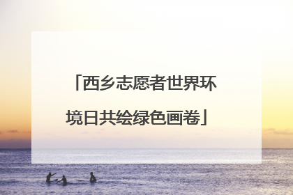 西乡志愿者世界环境日共绘绿色画卷