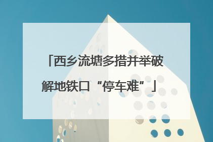 西乡流塘多措并举破解地铁口“停车难”