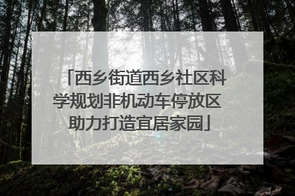 西乡街道西乡社区科学规划非机动车停放区 助力打造宜居家园