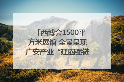 西博会1500平方米展馆 全景呈现广安产业“建圈强链”｜西博视界