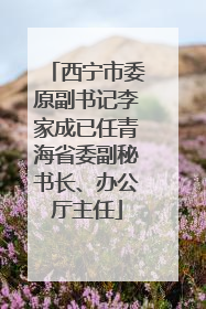 西宁市委原副书记李家成已任青海省委副秘书长、办公厅主任