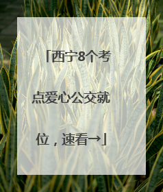 西宁8个考点爱心公交就位，速看→