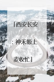 西安长安：神禾塬上麦收忙