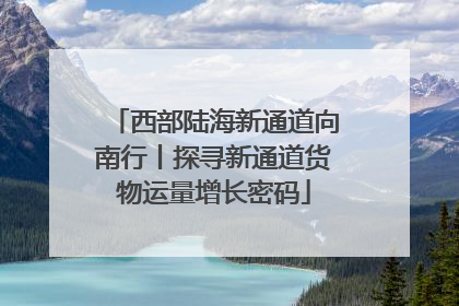 西部陆海新通道向南行丨探寻新通道货物运量增长密码