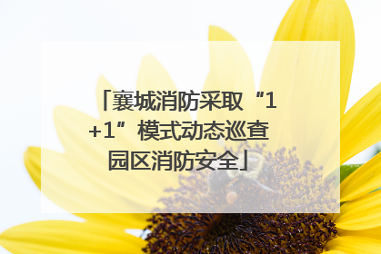 襄城消防采取“1+1”模式动态巡查园区消防安全
