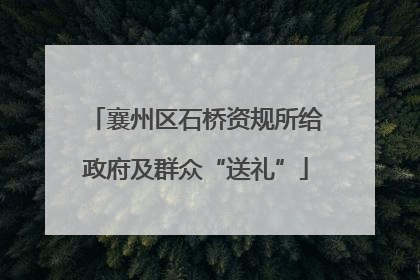 襄州区石桥资规所给政府及群众“送礼”