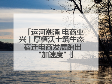 运河潮涌 电商业兴丨厚植沃土筑生态 宿迁电商发展跑出“加速度”