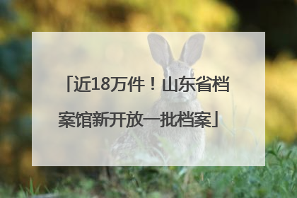 近18万件！山东省档案馆新开放一批档案