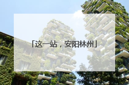 这一站，安阳林州
