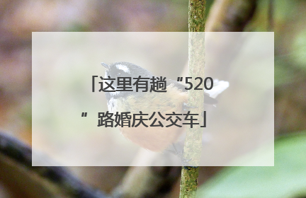 这里有趟“520”路婚庆公交车