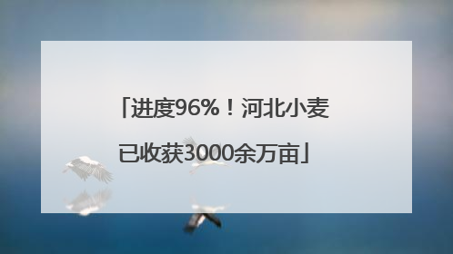 进度96%！河北小麦已收获3000余万亩