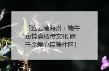连云港海州：端午裹粽竞技传文化 两千余爱心粽暖社区