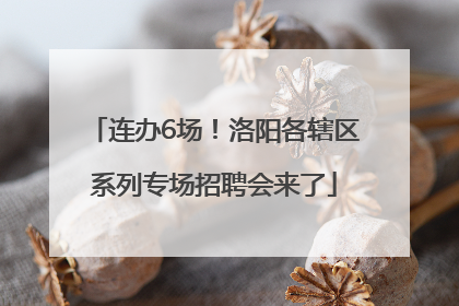 连办6场！洛阳各辖区系列专场招聘会来了