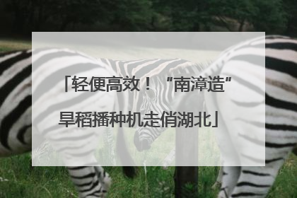 轻便高效！“南漳造”旱稻播种机走俏湖北