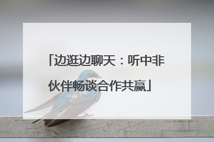 边逛边聊天：听中非伙伴畅谈合作共赢
