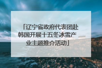 辽宁省政府代表团赴韩国开展十五冬冰雪产业主题推介活动