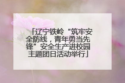 辽宁铁岭“筑牢安全防线，青年勇当先锋”安全生产进校园主题团日活动举行