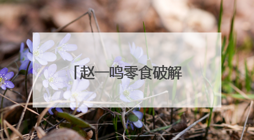 赵一鸣零食破解碎片化消费密码：从“囤货时代”到“即时解馋”的场景革新