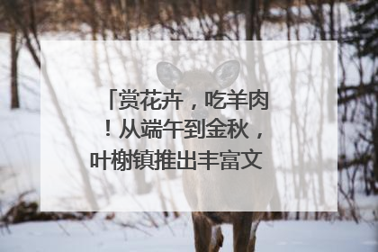 赏花卉，吃羊肉！从端午到金秋，叶榭镇推出丰富文旅活动邀您爽玩