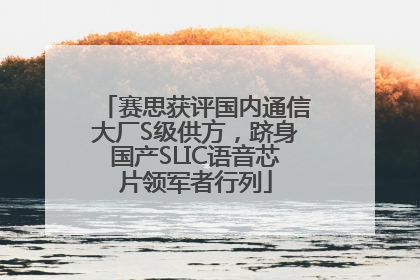 赛思获评国内通信大厂S级供方，跻身国产SLIC语音芯片领军者行列