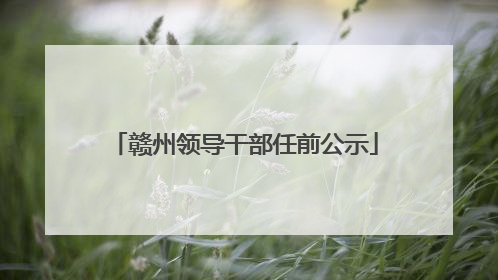 赣州领导干部任前公示