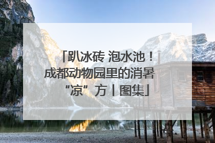 趴冰砖 泡水池！成都动物园里的消暑“凉”方丨图集