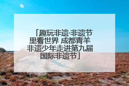 趣玩非遗·非遗节里看世界 成都青羊非遗少年走进第九届国际非遗节