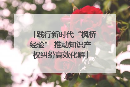 践行新时代“枫桥经验” 推动知识产权纠纷高效化解