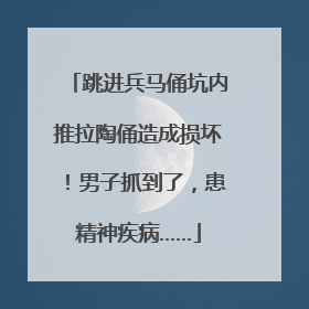 跳进兵马俑坑内推拉陶俑造成损坏！男子抓到了，患精神疾病……